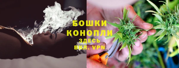 экстази Арсеньев