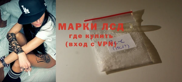 PSILOCYBIN Аркадак