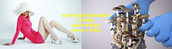 экстази Арсеньев