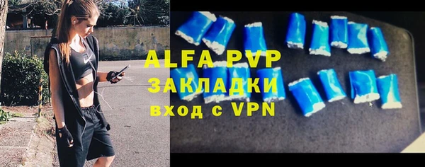 PSILOCYBIN Аркадак