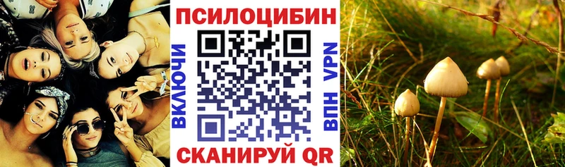 Псилоцибиновые грибы Cubensis  Купить закладки  Сухой Лог 